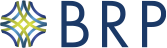 Baldwin Risk Partners Logo